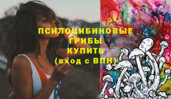 стафф Алзамай