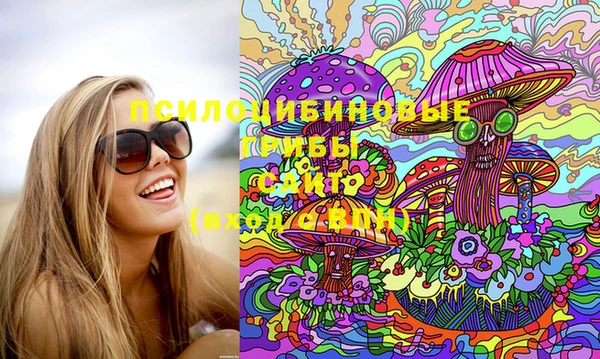 стафф Алзамай