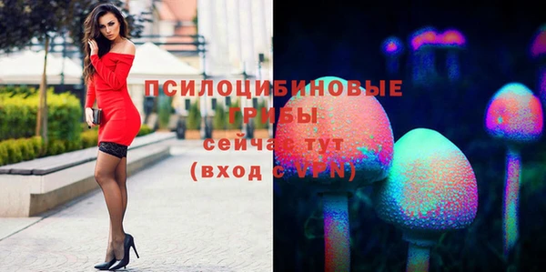 стафф Алзамай